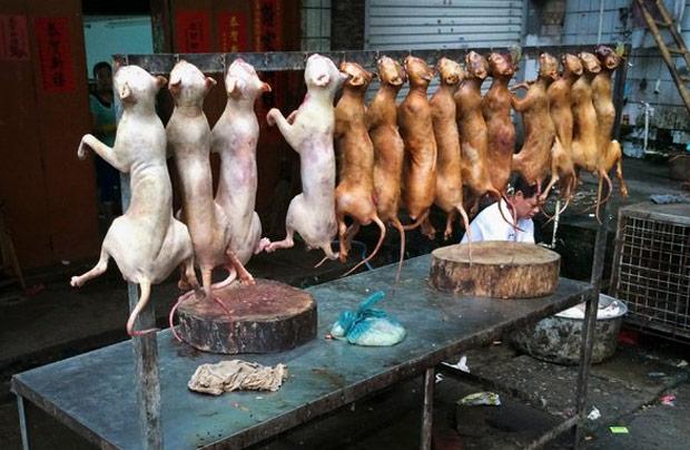 Stop Yulin