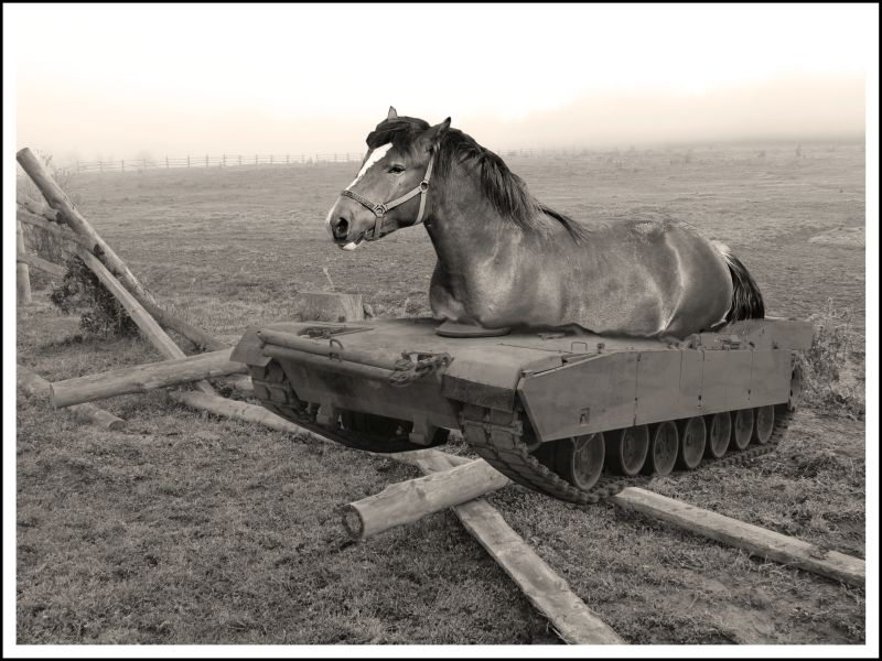 koń-czołg