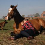 Miłość do koni