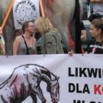 Manifestacja w Skaryszewie