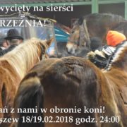 Stop Skaryszew